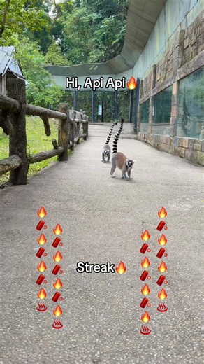 Tour Nhốt Người Thả Thú Vinpearl Safari Phú Quốc — Trải Nghiệm Hè 2026