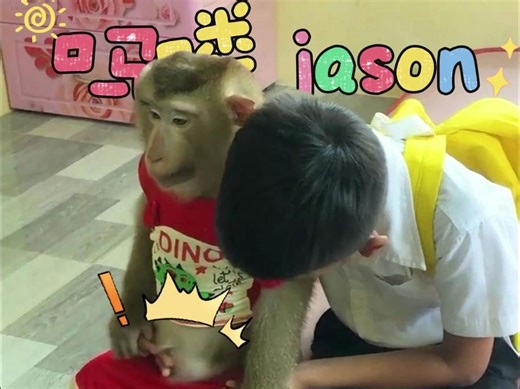 虽然出卖了肚子，但是jason还是没能去上学！