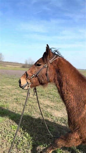 Getting JB ready for his 1st ride in the bottoms !