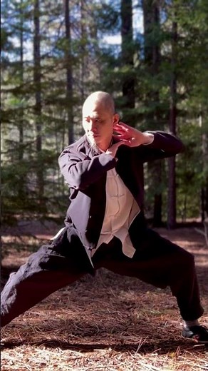 Chen style tai chi 18 movements #taichi #taiji #taijiquan
