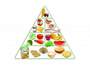 food pyramid