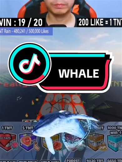 Exploring the Amazing World of Whales in Minecraft