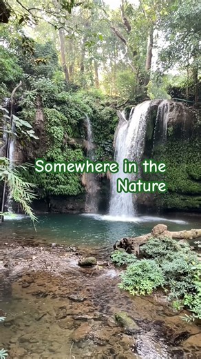 #jimcorbett #waterfall #vacationtravel #jimcorbettwildlifeandnatureview #akshaykhannaentry