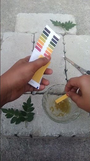 testing for vip hair colour shampoo 🌺