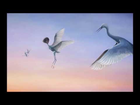 Where i am - A Trip Hop Mix