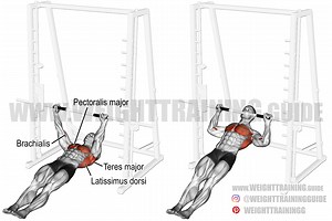 Inverted row exercise instructions and video | WeightTraining.guide