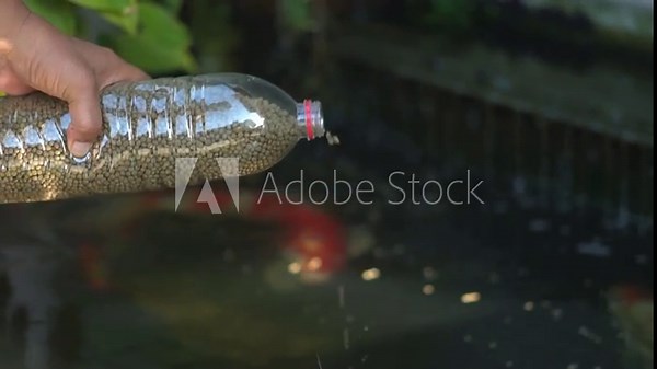 Recycle plastic bottles to feed fish. Waste recycle management, eco friendly, energy saving awareness concept.