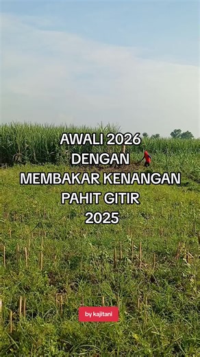 Indonesian Farmers Cultivating Sustainable Agriculture