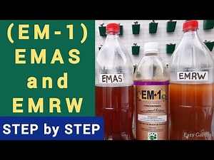 EMAS and EMRW from EM1 step by step