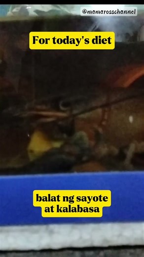 Crayfish Diet For Today #squash #veggie