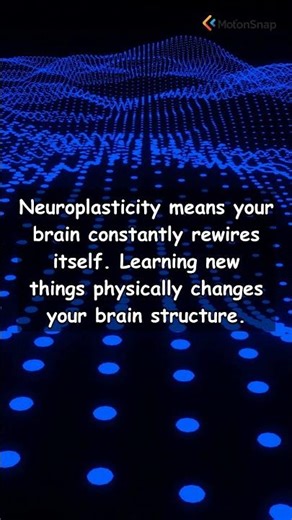 Neuroplasticity