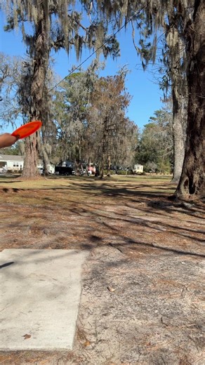 Opened my round with a gobbler. #discgolf #formcheck #forresthillsdiscgolfpark