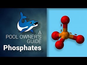A Pool Owner's Guide to Phosphates