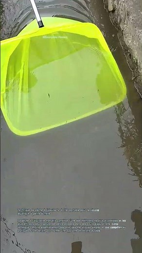 Technique de pêche à l'épuisette à filet portable pour la récolte aquatique à petite échelle