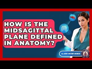 How Is The Midsagittal Plane Defined In Anatomy? - All About Anatomy Answers