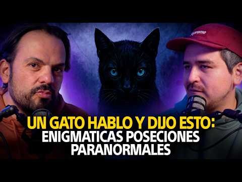 😱 GATOS QUE HABLAN y ANUNCIAN TRAGEDIAS/ Seres y Duendes de PERÚ | Ft. Jorge Talavera | Más Allá Ep7