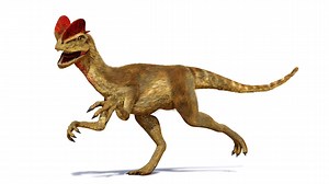 Discover the Biggest Dilophosaurus Ever Found