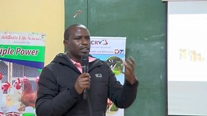 267K views · 4.3K reactions | Why your calf turns brown 2 weeks after the Calving down | Atlantis Life Science Ltd | Facebook