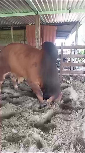 rancho_la_parota on TikTok