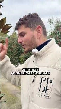 Plant-based privacy screens: 2 simple and effective ideas