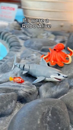ZURU Toys | What would you do if you became a Robo Fish for a day? #RoboAlive #Fish #Watertoys #WaterActivated | Instagram