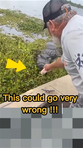 Cute animal but dangerous 😳🥶 #shorts #shocking #viral