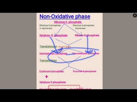Hmp pathway for bds 1st year and neet mds