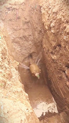 soil drilling process for optical cable installation #shorts