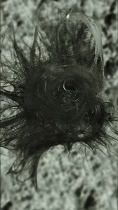 continuing on my realtime learning curve with houdini physics simulation I now have a visual representation of the music I’m proudest of. basically couldn’t afford video production and also wanted to learn anyway so I started making things myself under the Shy1 alias. you can see the full video here https://youtu.be/LgCFvdaA7fc?si=nWikq2GR34oOowca | Amon Tobin