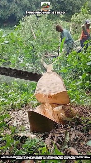 Marking the Cut Line Before Using the Chainsaw 🪚⚙️