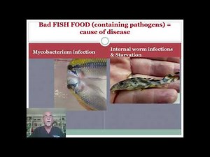Causes and prevention of fish diseases: introduction