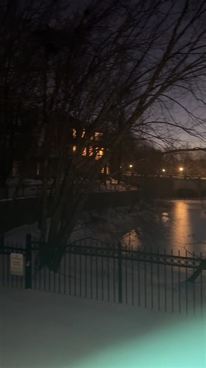 ⭐️ (@laurenfrey3)’s videos with original sound - lily 𐙚