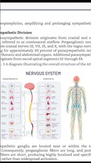 Clinical Case Studies Autonomic Nervous System PACKRAT, PANCE, USMLE, NAPLEX, NCLEX Exam Style
