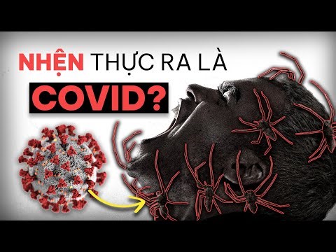 Không chỉ là phim KINH DỊ về NHỆN ĐỘT BIẾN? — INFESTED (Vermines)