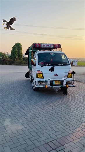 Discovering the Zillah Slab: A Unique Eagle Habitat