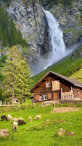 5.4K views · 717 reactions | Paradise. | Love Never Fails-JW.ORG | Facebook