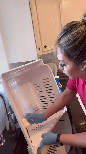 5.5K views · 114 reactions | Sponges are a popular choice for...