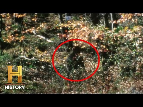 The Proof Is Out There: Metal Detector Guy Gets Screamed at by Bigfoot | Exclusive