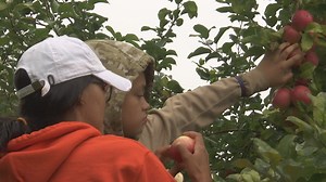 Oneida Integrated Food Systems recognized by United Nations