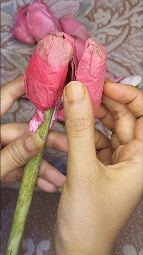 How I Make Tulip Flower🌷✨️/ from tissue paper/ paper flower making/ no crepe paper #craft #art