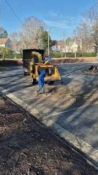 Removing an oak tree. #treeworkers #treeclimbers #treecompany #treelife #raleigh #arborist #fypreels