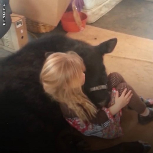 670K views · 2K reactions | This little girl let a COW inside her house and nothing is cuter than her excuses.  | Country Living Magazine | Facebook