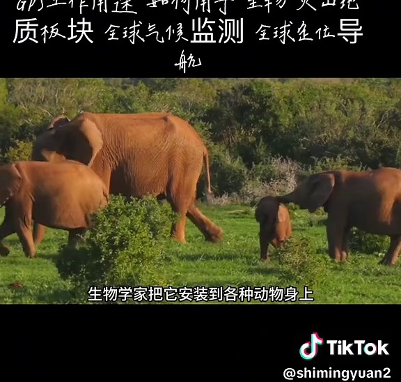 GPS工作原理与应用探讨