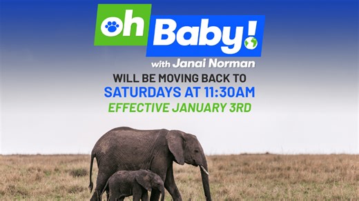 Abc27 programming update: Oh baby!