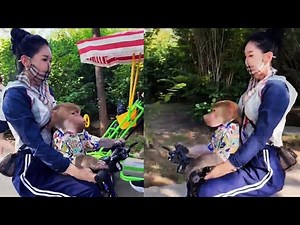 The cute little baboon can actually ride a bicycle all by itself!#monkey #monkeysr #funny