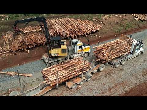 Log Loader - Loading Small Grade Saw Logs Onto A Log Truck
