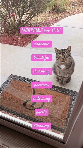 SYNONYMS for “Cute”