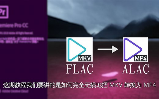 【教程】论如何无损转换MKV并导入Premiere