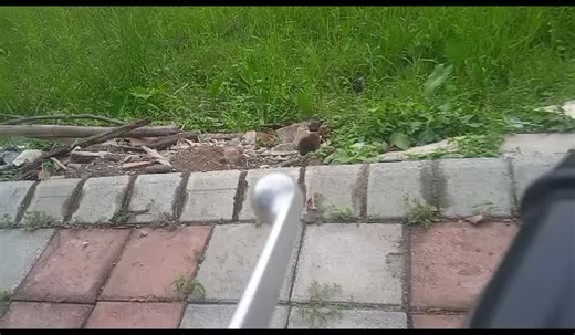 Unboxing the Redmi 9A: Features and Zoom Camera