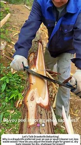 Debarking a Cedar Log with a Drawknife – Traditional Timber Prep 🔪
